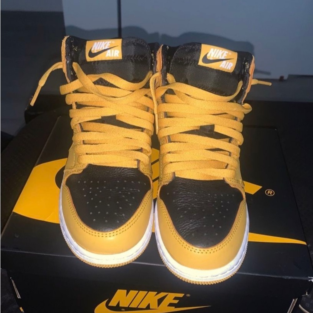 Jordan 1 HIGH POLLEN